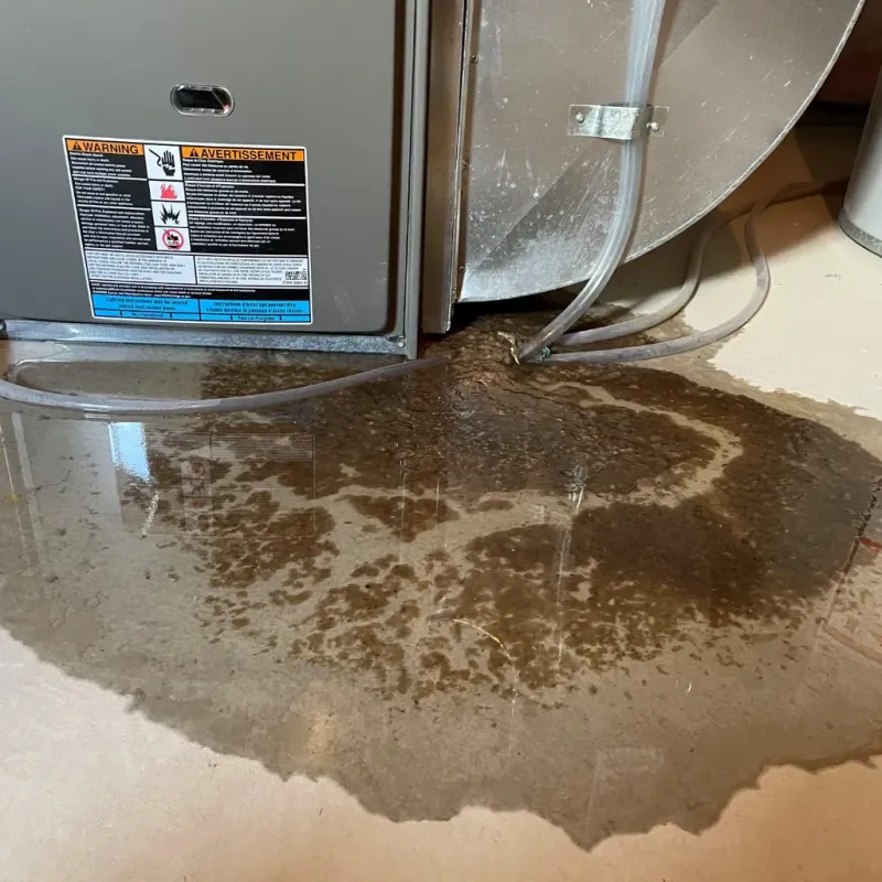 Appliance Leak Cleanup in Newcomerstown, OH
