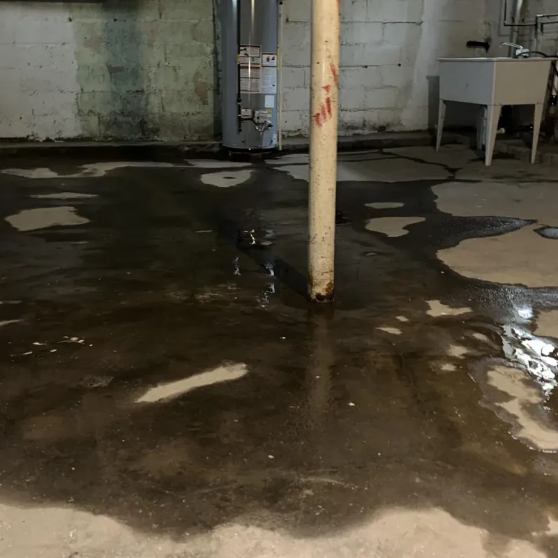 Emergency Water Extraction And Removal in Newcomerstown, OH